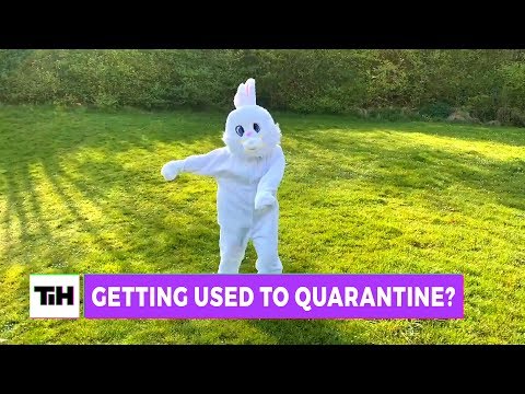 Getting Used To Quarantine?