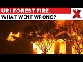 Breaking News: Massive Forest Fire Breaks Out in Uri Sector, North Kashmir | NewsX