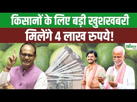 Avocado Farming: किसानों के लिए अच्छी खबर, इस फल की खेती पर मिलेंगे 4 लाख रुपये । Kisan India