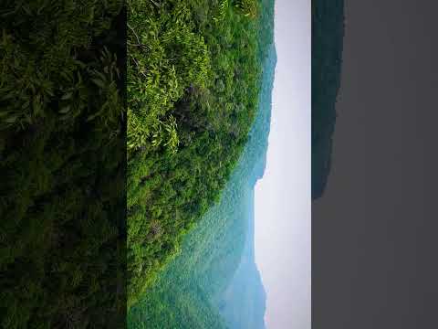 #rawfruits #relax #sleepmusic30minutes #relaxingmusic #relaxing #meditationmusic #music #nature