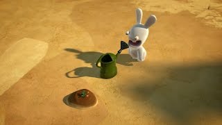 Rabbids Invasion - Zelen zajac