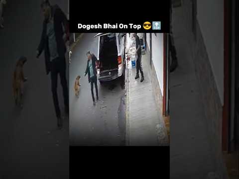 Dogesh Bhai Se Panga Nahi 😎😂 #shorts #memes #viralvideo