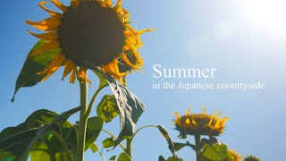 まおのなつやすみ【Summer in the Japanese countryside】