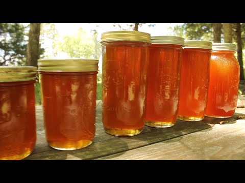 video Organic Honey