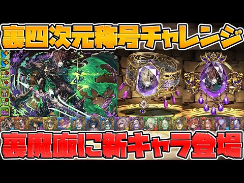 裏四次元実装！称号チャレンジ復活！新ジルレガート登場！フェス限大量強化+進化【パズドラ】
