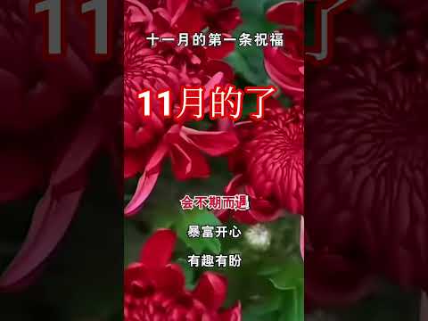 11月 #人生感悟 #现实生活中的名言 一起加油……感谢订阅☕☕