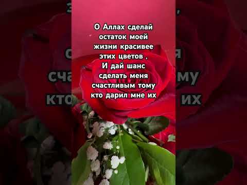 #ислам #субханаллах #аллоху #цветы #любовь#
