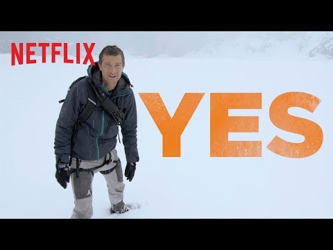 You vs. Wild'