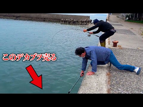 竿をぶち曲げる大物を今回は魚屋さんで販売してみます。