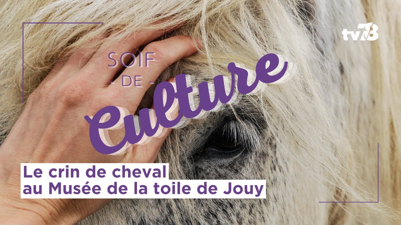 Jouy-en-Josas : le crin de cheval se révèle au musée de la Toile de Jouy