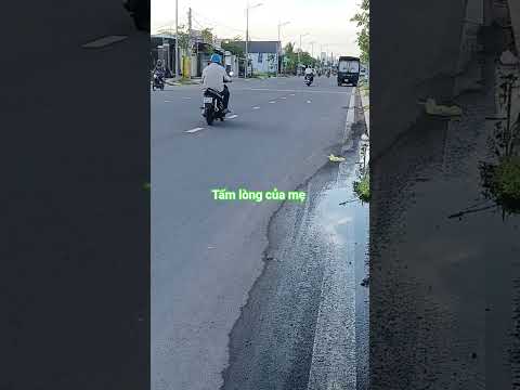 Tấm lòng của mẹ