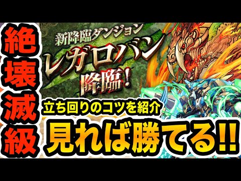 【レガロバン降臨】ノーチラス初手最終変身可能！ソロ１周約６分！ポイントを抑えれば簡単です【パズドラ】