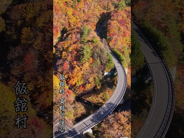 福島市にある 蓮華滝 と、飯舘村の真野川渓谷の動画です。
2024年は少し紅葉が遅れましたが、美しく色づいていました。
 #Shorts

■チャンネル登録はこちら
http://www.youtube.com/channel/UCzlSGQ7jqxhGa9dyPEPhTRQ?sub_confirmation=1

■ドローンでこんな所を撮影してもらいたいという依頼は
コメント欄に残して頂くと実現するかも･･･
可能な限りご要望にお応えしようと思います。

■ドローン撮影依頼は
http://skyshoot.pro