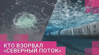 Личное: «Подозреваем страну на букву "Р"»: депутат Европарламента о том, кто взорвал «Северный поток»