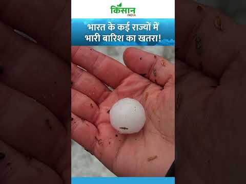 Weather Update: इन राज्यों में हो सकती है भारी बारिश, लोगों को सतर्क रहने की दी गई सलाह। IMD Alert