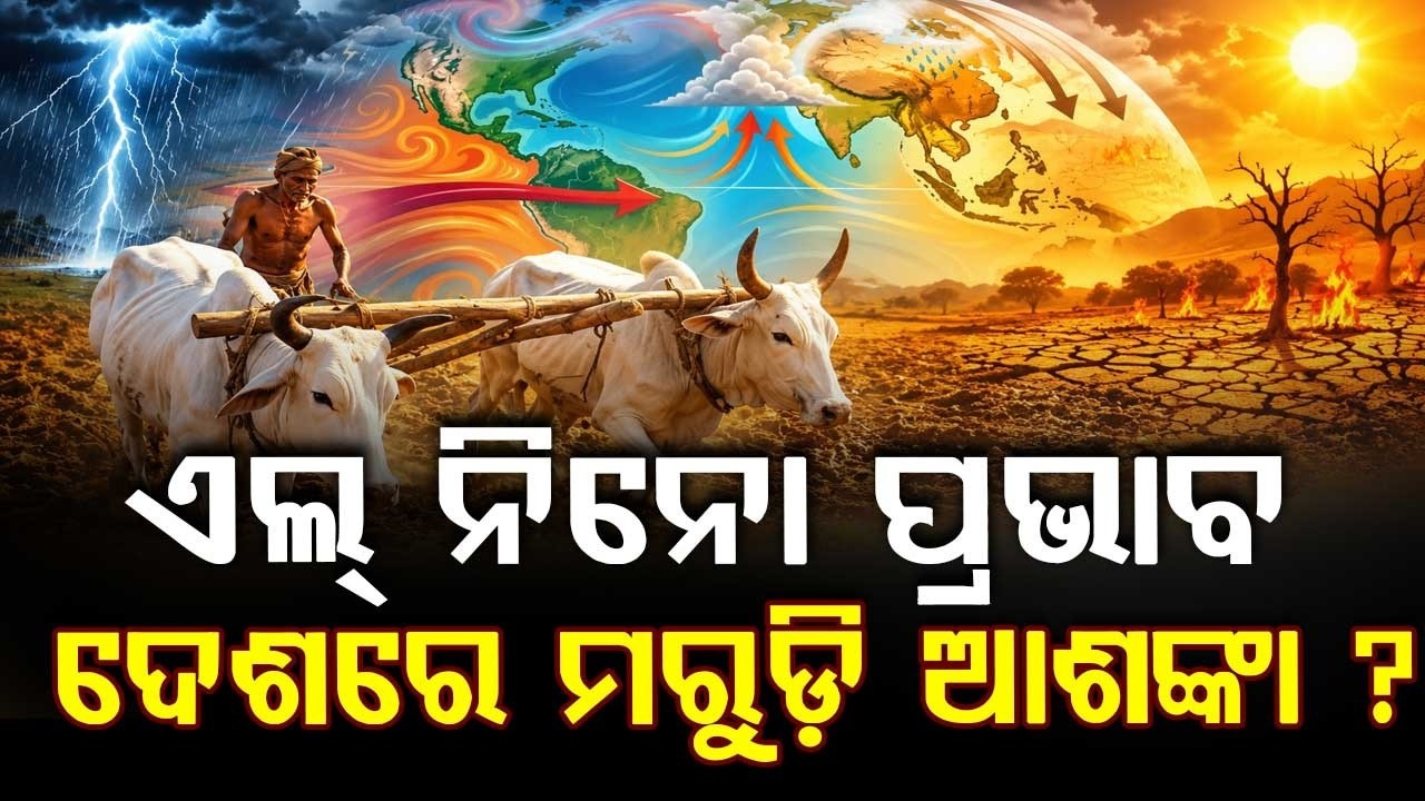 El Nino Impact: Amit Shah & Shivraj Singh Chouhan Review Rain Deficit & Drought Prep | Argus News