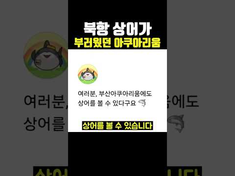북항 상어가 부러웠던 <strong>아쿠아리움</strong>