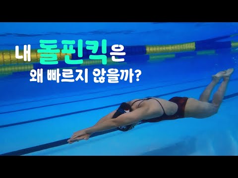 ꒰ 내수영내가리뷰 ꒱ 돌핀킥이 빠르지않은 <strong>수영선수</strong>