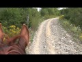 Congrès mondial acadien a cheval, St-Pierre de Lamy 22 Août 2014, Écurie Jean-Yves Ouellet