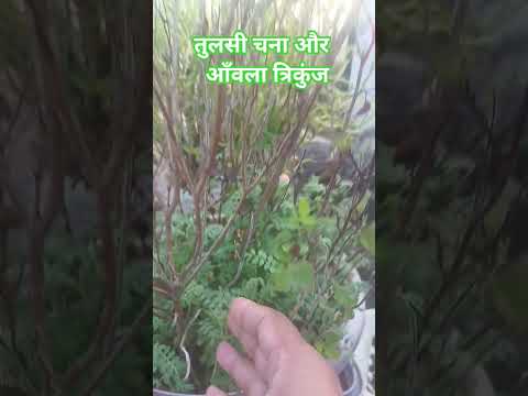 त्रिकुंज #nature #geography