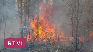 Как борются с природными пожарами в Сибири? Репортаж RTVI