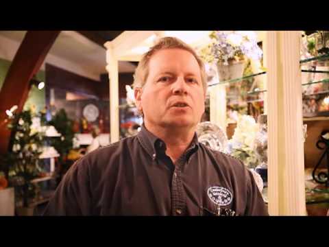 video Benchmark Email