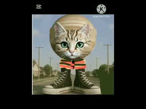 Gatini gupeterini (mi segundo brainrot) #humor #diversion