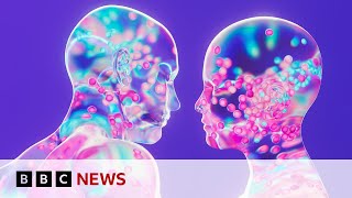 Could an AI App help us talk to the dead?