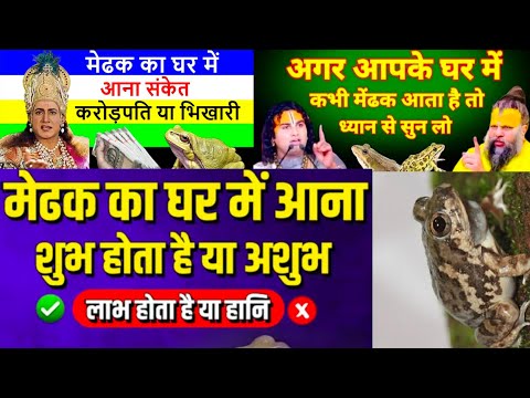 अगर कभी अचानक से आपके घर में मेंढक घुस जाए तो क्या होता है ध्यान से सुने 😱