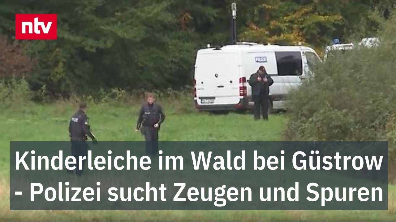 Kinderleiche im Wald - Polizei sucht Zeugen und Spuren - "Kollektives Trauma" in Güstrow