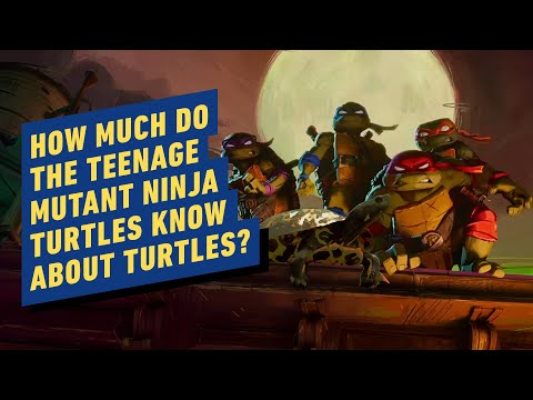 How Much Do the Teenage Mutant Ninja Turtles Know About Turtles?