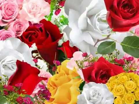 When I Fall - Anne Murray