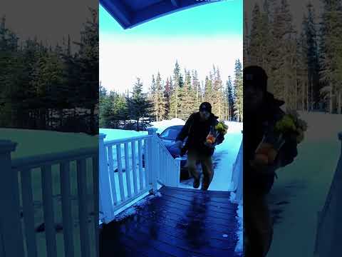 Failure under monitoring #PetFYP #funnyfilters #funnychallenge #filterchallenge #usa