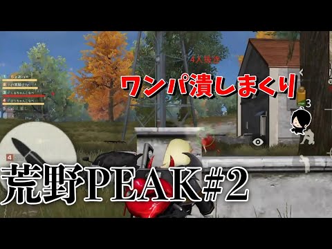 【荒野行動】ワンパ潰しまくりの荒野PEAK戦　シーズン17#2