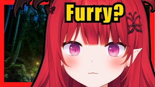 What is a furry? 😈