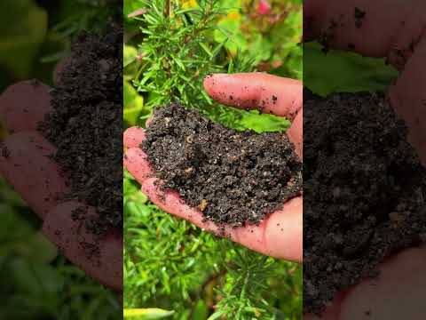 sustrato para el romero #plantas #jardin