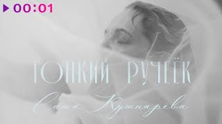 Саша Кушнарёва — Тонкий ручеёк | Official Audio | 2025