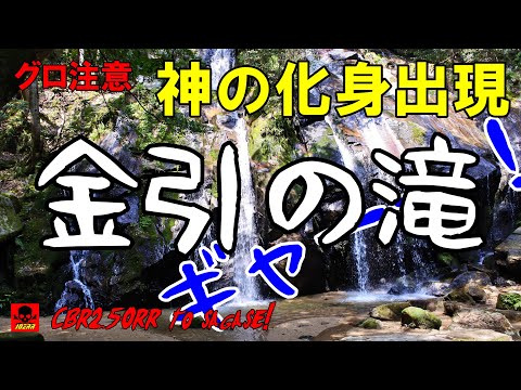 【京都府宮津市滝馬】金引の滝 【スマン神の化身踏んでもうた】