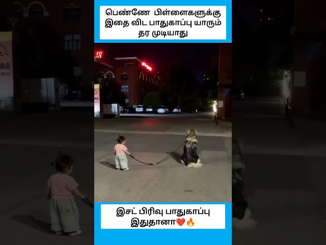 இசட் பிரிவு பாதுகாப்பு இதுதானா...... #shorts