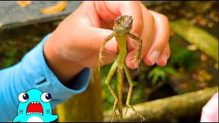 動画サムネイル