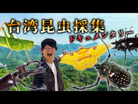 台湾でとんでもない昆虫たちを探せ!!!!〜ドキュメンタリー〜