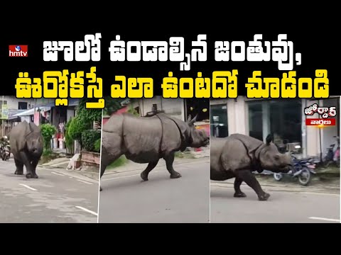 Rhino enters village, IFS Susanta Nanda shares video