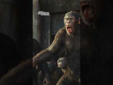 Il Regno del Pianeta delle Scimmie | Ora al Cinema #Shorts
#IlRegnoDelPianetaDelleScimmie