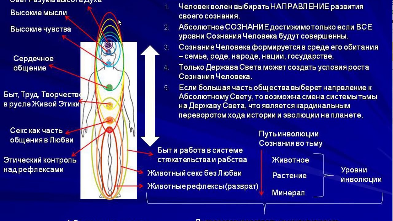 Замеры человека картинка