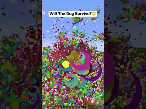 Minecraft Will The Dog Survive?