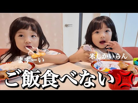 ご飯を食べてくれない双子…アイスで喧嘩が始まりました【たらこ３姉妹の日常】