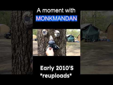 I fed a tree #amomentwithmonkmandan #monkmandan