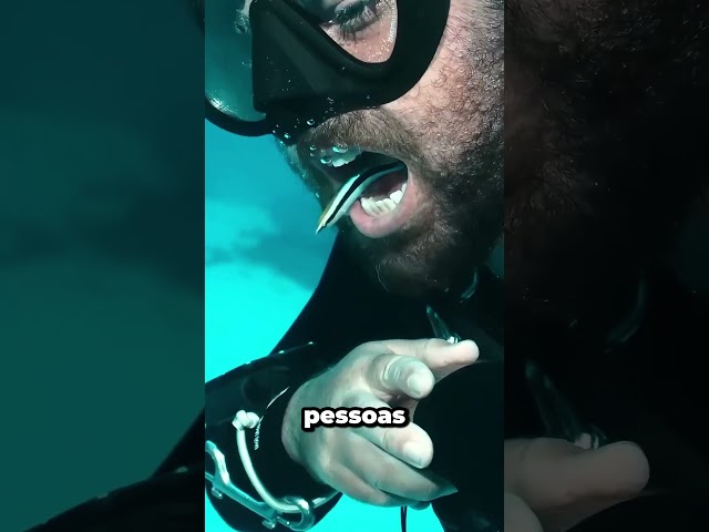 Este peixe limpa os dentes dos tubarões!