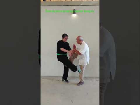 How to use Taiwan plum praying mantis kung fu 18#shorts #taiwan #kungfu #mantis