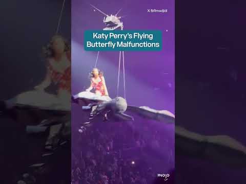 Katy Perry Flying Machine Malfunction